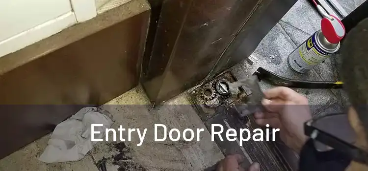 Entry Door Repair