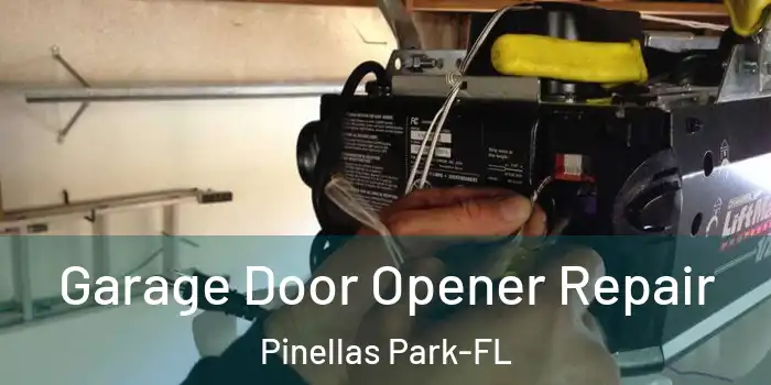 Garage Door Opener Repair Pinellas Park-FL