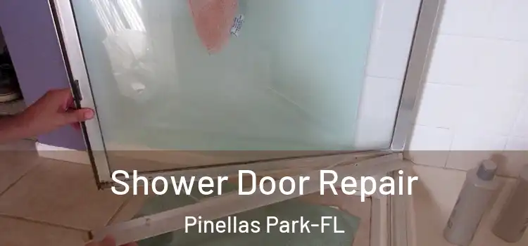 Shower Door Repair Pinellas Park-FL